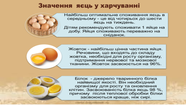 Приготування страв з яєць та сиру | Онлайн-тест – «На Урок»